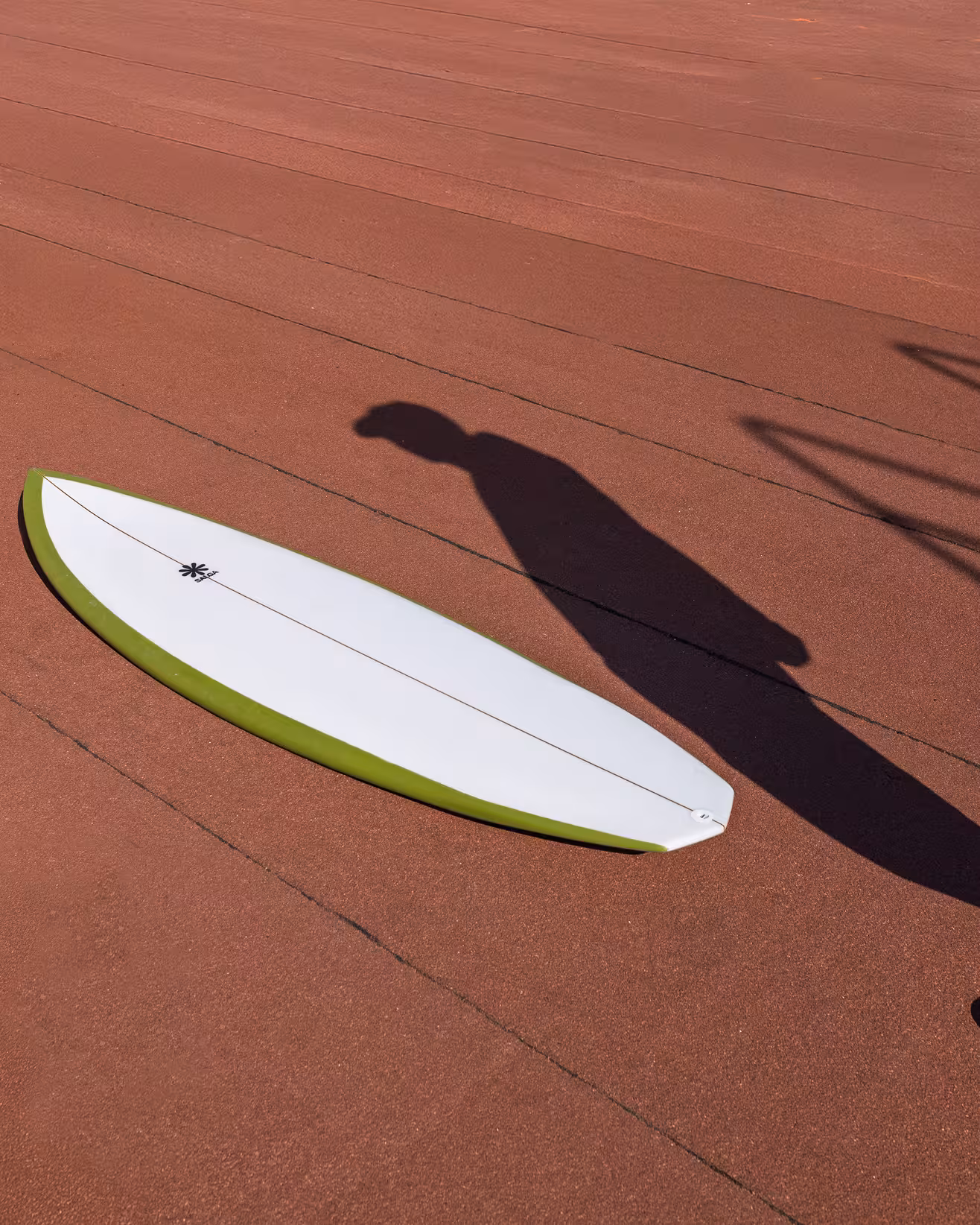 Salga surfboard